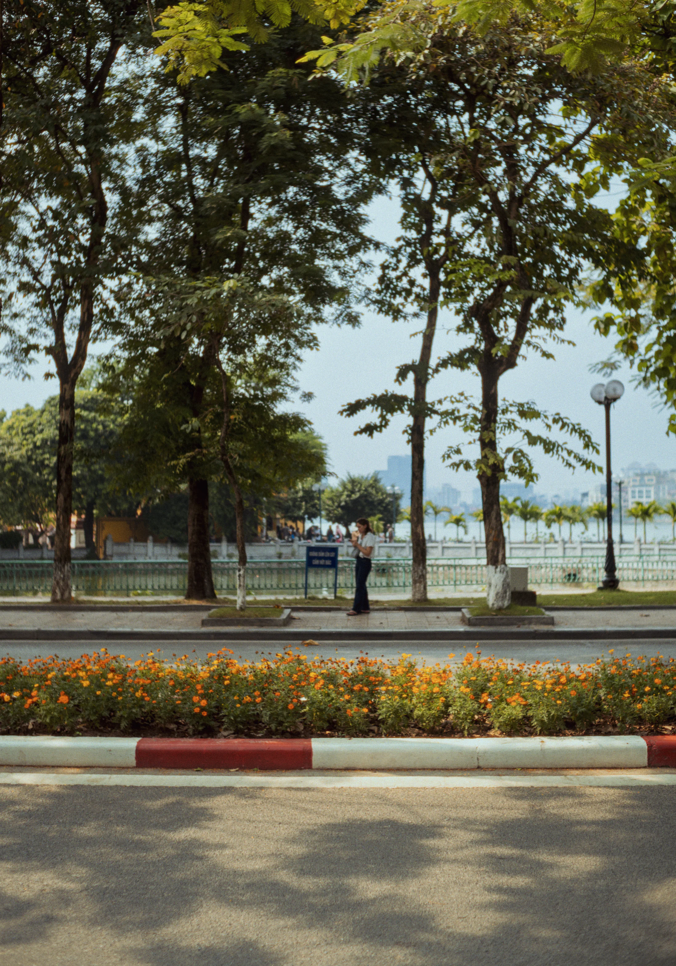 Lang thang cùng Brightin Star 35F1.4 MF